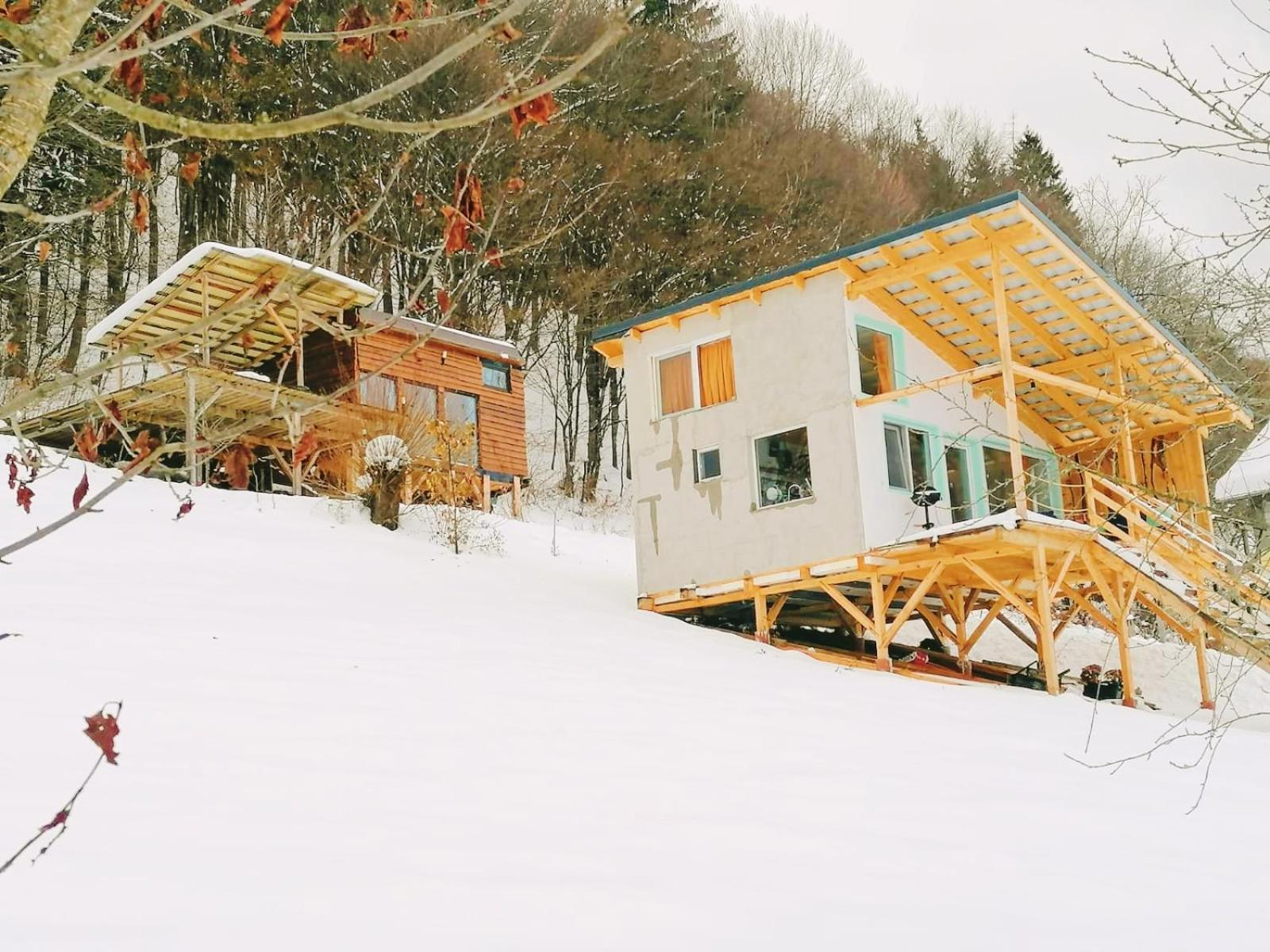 Rainbow Chalet Bran  Exterior photo